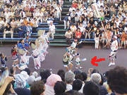awaodori2.jpg