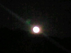 musubinomaturi3.jpg