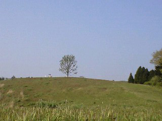 you0804293.jpg