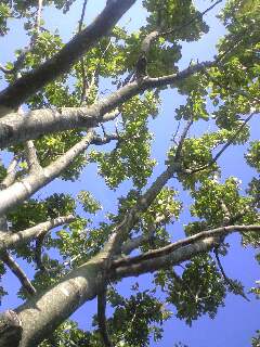 you08101302.jpg