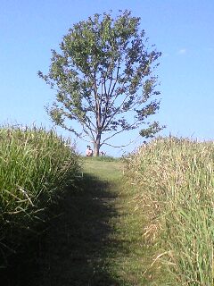you08101303.jpg